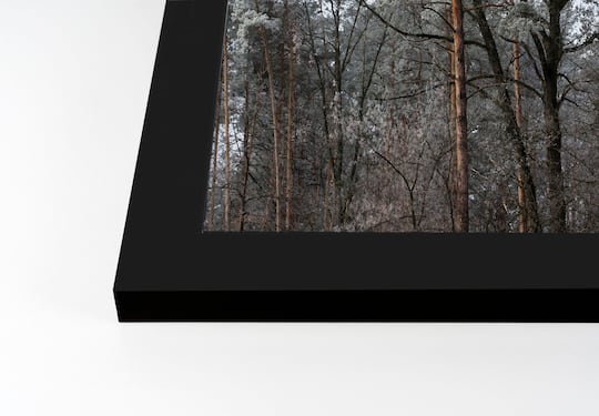 Dusty Trees Black Framed Print Under Plexiglass